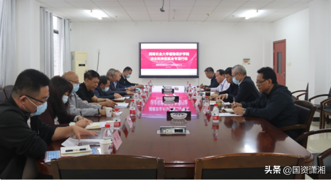 麻豆av
,长沙杀虫剂,长沙光气衍生物,长沙氨基酸保护剂,长沙锂离子电池材料