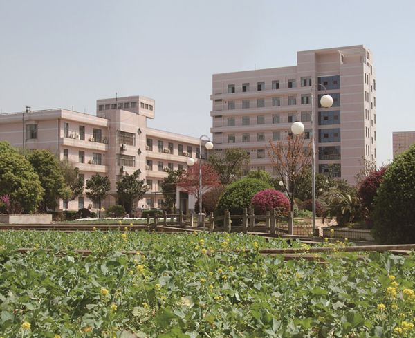 麻豆av
,长沙杀虫剂,长沙光气衍生物,长沙氨基酸保护剂,长沙锂离子电池材料