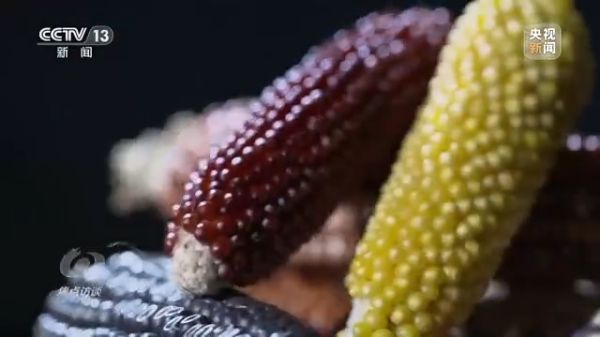 麻豆av
,长沙杀虫剂,长沙光气衍生物,长沙氨基酸保护剂,长沙锂离子电池材料