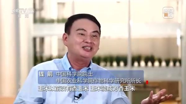 麻豆av
,长沙杀虫剂,长沙光气衍生物,长沙氨基酸保护剂,长沙锂离子电池材料