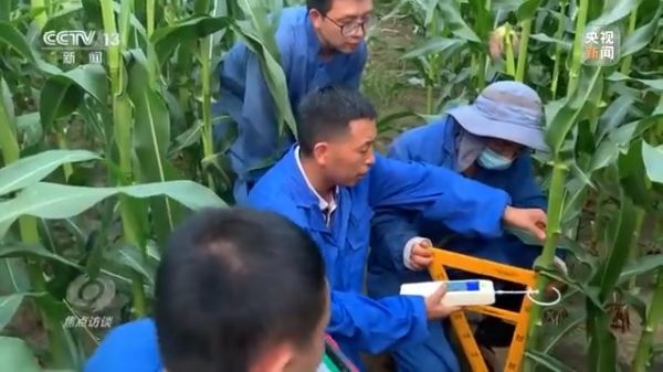 麻豆av
,长沙杀虫剂,长沙光气衍生物,长沙氨基酸保护剂,长沙锂离子电池材料