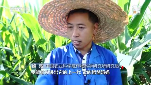 麻豆av
,长沙杀虫剂,长沙光气衍生物,长沙氨基酸保护剂,长沙锂离子电池材料