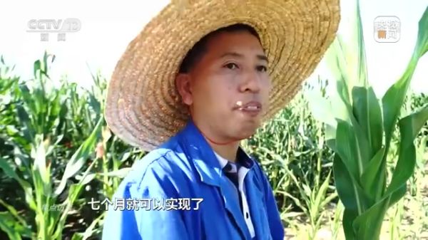 麻豆av
,长沙杀虫剂,长沙光气衍生物,长沙氨基酸保护剂,长沙锂离子电池材料