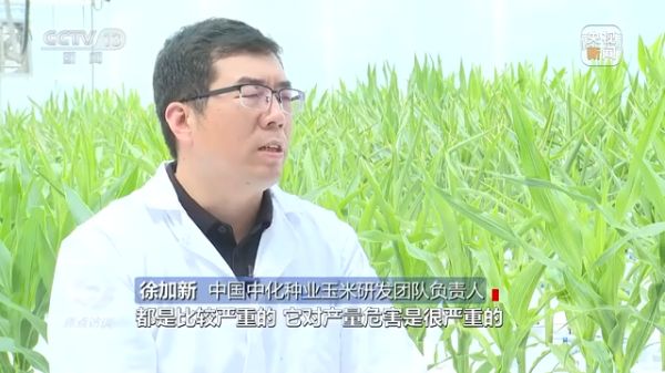 麻豆av
,长沙杀虫剂,长沙光气衍生物,长沙氨基酸保护剂,长沙锂离子电池材料