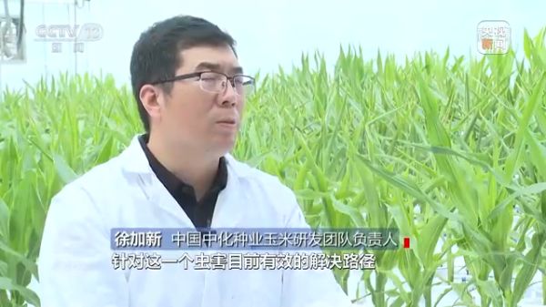 麻豆av
,长沙杀虫剂,长沙光气衍生物,长沙氨基酸保护剂,长沙锂离子电池材料