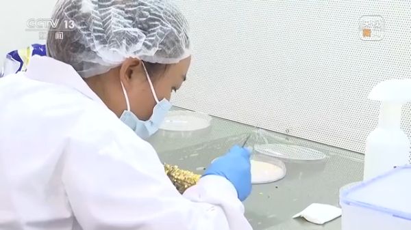 麻豆av
,长沙杀虫剂,长沙光气衍生物,长沙氨基酸保护剂,长沙锂离子电池材料