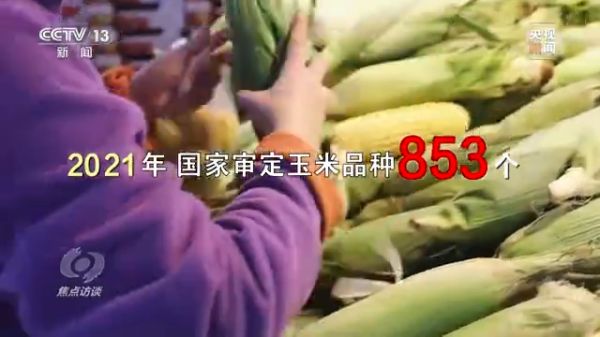 麻豆av
,长沙杀虫剂,长沙光气衍生物,长沙氨基酸保护剂,长沙锂离子电池材料